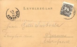 1899 Mosonmagyaróvár, Magyaróvár, Ung. Altenburg; Fő utca este, S. Aichinger litho (EK)