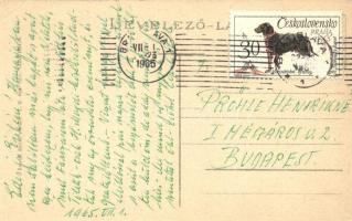 Mezőhegyes, Lovászfiúk gyakorlata; 1965-ben postázva (EK)