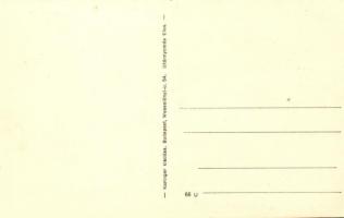 Mátranovák, Hangya szövetkezet kocsmája és kereskedése, üzlet