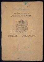 cca 1920 Útlevél, fotóval, számos bejegyzéssel, német, francia, osztrák, olasz bejegyzésekkel, számo...