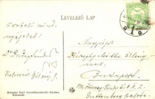 Kolozsvár, Cluj; Nagy Szamos folyó a malommal. Schuster Emil kiadása / river with mill