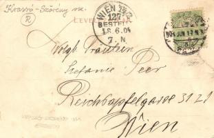 Karánsebes, Caransebes; Piac tér, Grünberger S. Géza üzlete / market square with shops (kis szakadás...