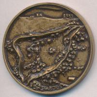 Tóth Sándor (1933-) 1996. "Magyar Honfoglalás 896 Szabolcs vezér / Szabolcs" Br emlékérem ...