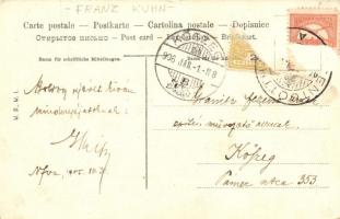 W.D.W.I. Austrian art postcard s: Franz Kuhn