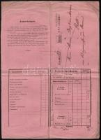 1856 Kaiser Ferdinands-Nodbahn fuvarlevele, díszes fejléces papíron, német nyelven./ 1856 Letter of ...