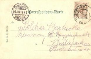 1898 Cieszyn, Teschen; Deutsches Haus, Kaiser Josef Denkmal, Katolisches Pfarrgebäude / German house...