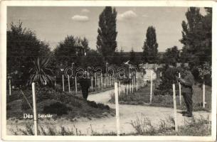 Dés, Dej; Sétatér, az Illusztráció kiadása / promenade (EK)