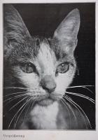 1932 Leica borsúra, Leitz Hilfs-Geräte zur Leica-kamera, német nyelven, 23 p