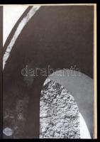 Lőrinczy György: A budai Vár. Bp., 1967, Corvina. Kartonált papírkötésben, jó állapotban