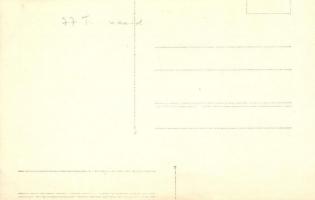 Osztrák-magyar Tb 77 T számú torpedóromboló / SM Torpedoboot 77T / K.u.K. Kriegsmarine torpedoboat, ...