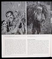 1937 Die Fotografie mit Rolleiflex und Rolleicord, Braunschweig, Köhler&Lippmann, német nyelven,...