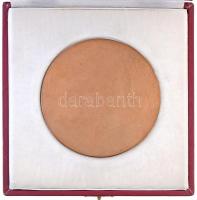 Borsos Miklós (1906-1990) DN "Liszt Ferenc Társaság 1893"  Br plakett eredeti dísztokban (...