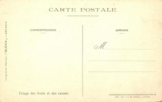 Catania, Jose Alberti Esportazione Agrumi; Via Filippo Cordova 79. / Citrus exports factory, interio...