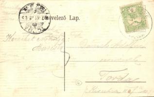 Derestye, Darste; Cell-féle gyárak / Czell'sche Fabriken / factory