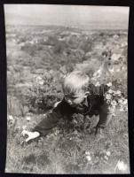 Kisfú kecskével, és virágszedés közben, jelzetlen fotó, 2 db, 17x23 cm