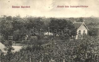 Gyorok, Ghioroc; Mihalik Béla csemege szőlőtelepe / vineyards