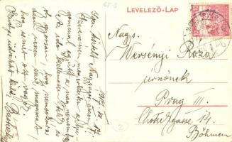 Kolozsvár, Cluj; Wesselényi Miklós utca, Kovács József és Pap üzlete, Pannónia szálloda / street, sh...