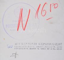 cca 1970 Anatolij Karpov (1951-) sakkozik, MTI fotó, a hátoldalán pecséttel jelzett, 22x14 cm