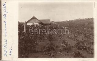1906 Nagyvárad, Oradea; Bartsch szőlőtelepi villa / vineyard, villa, photo