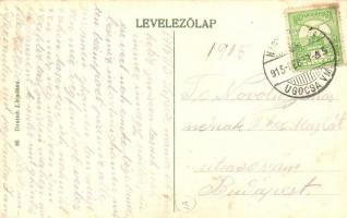 Nagyszőlős, Vynohradiv; Ugocsai takarékpénztár egyesület, gyógyszertár, Todresz Herman és Ábrahám üz...