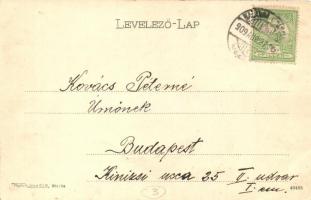 Balassagyarmat, Nógrád vármegyei közkórház és tébolyda (felszíni sérülés / surface damage)