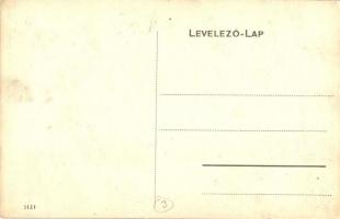 Bodrogolaszi, Nagy utca, Stefánia gróf Lónyay kastély, Szabó üzlete