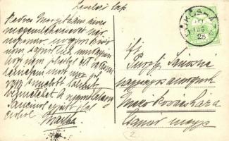 1911 Lőkösháza, Vásárhelyi Dezső lakóháza, déli oldal, photo