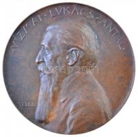 Telcs Ede (1872-1948) 1903. "Vizmai Lukács Antal" kétoldalas Br emlékérem "LUKÁCS ANTAL A MAGYAR FÖLDHITEL INTÉZET IGAZGATÓJÁNAK 40 ÉVES MUNKÁSSÁGA EMLÉKÉRE SZERETETÜK ÉS RAGASZKODÁSUK JELÉÜL GRÓF DESEWFFY AURÉL FORSTER GYULA TIHANYI BÉLA TREBITSCH IGNÁCZ BENKŐ KÁLMÁN CSENGERY LORÁND DARÁNYI KÁLMÁN GRÓF ZICHY ANDOR" (85,7g/64,5mm) T:2 / Hungary 1903. "Antal Lukács Vizmai" economist, director of the Hungarian Land Loan Institute. Double-sided Br commemorative medallion. Sign: Ede Telcs (85,7g/64,5mm) C:XF HP 6061.