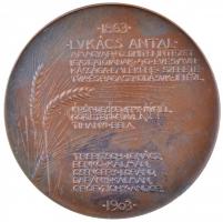 Telcs Ede (1872-1948) 1903. "Vizmai Lukács Antal" kétoldalas Br emlékérem "LUKÁCS ANT...