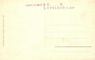 Nagyenyed, Aiud; Városház és Kaszinó. Winkler János kiadása / town hall, casino