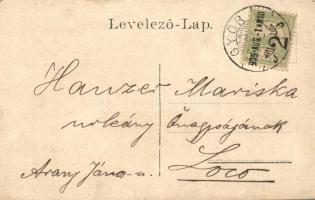 1905 Győr, látkép a Városháza tornyából, photo