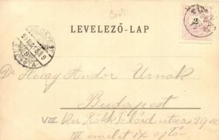 1899 Tusnád, Emma Villa, Mikes Forrás. Adler A. / villa, spring, floral