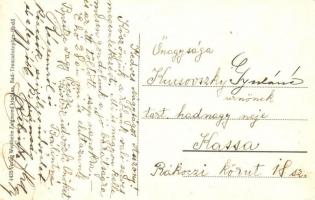 Trencsénteplic-fürdő, Trencianske Teplice; Gróf Seldern-villák / villas (EB)