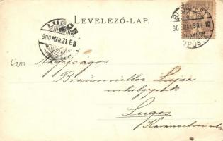 Budakeszi, Kilátás a vadászlakról. Hatschek Emil kiadása  (EK)