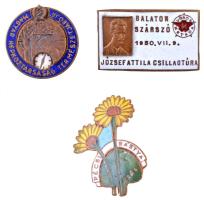 3db magyar turista és természetjáró jelvény: "Pécsi Bástya", "Magyar Népköztársaság Természetjárója" és "balatonszárszó 1950. VII. 9. - József Attila Csillagtúra" T:2