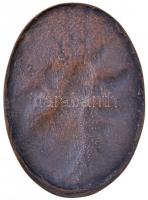 Tóth Amergio (1909-1984) 1983. "Tavaszi Fesztivál Budapest 1983" Br plakett (81x112mm) T:2