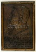 Léderer Tamás (1938-?): Dubics Tamás (1813-1888). Bronz tábla, jelzés nélkül, 58×40 cm, 10,5 kg