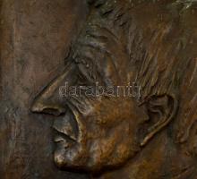 Léderer Tamás (1938-?): Dubics Tamás (1813-1888). Bronz tábla, jelzés nélkül, 58×40 cm, 10,5 kg