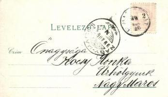 1899 Rimaszombat, Rimavská Sobota; Lévai Izsó kereskedése és saját kiadása / floral litho (EK)