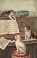 Cats playing th piano, litho