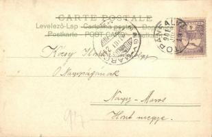 Cats playing th piano, litho