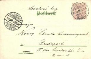 1899 Frankfurt, Palmengarten-Wieher, Kunstanstalt Aug. Pinkenrath litho (fl)