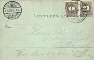 1899 Tata-Tóváros, Angolparki grófi kastély, Török mecset és fürdő; Nobel Adolf floral litho