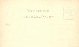 1897 (Vorläufer!) Trencsénteplic, Trencianske Teplice; gyógyterem, Hamam-fürdő, Teplicz szálloda / s...