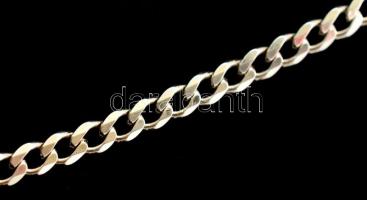 Ezüst(Ag) lapos pancer nyaklánc, jelzett, h: 55 cm, nettó: 18,1 g