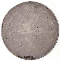 1907. "Magyar Úszói Szövetség Kerületi Bajnoki Érme - M.U.SZ. 1907" Ag emlékérem, előlapon...