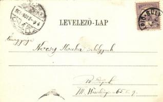 Nagyvárad, Grosswardein, Oradea; Kereskedelmi csarnok / Kaufmannshalle / trading hall, Art Nouveau