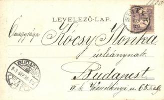 Siófok Balatonfürdő, Központi Szálloda, Weiss L és F. (EK)