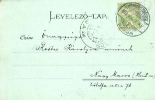 Körmöcbánya, Kremnica; Rob. Kniep Art Nouveau litho