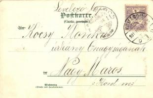 Quelimane, Zambesi; Katholischen Mission, Missionshaus, Neger / Catholic mission, mission house, bla...